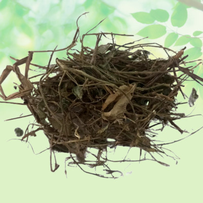 Brahmi Booti-Bacopa Monnieri-Saraswati Leaves-Indian Pennywort-Raw Herbs