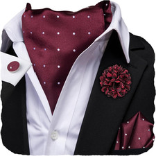 Silk Ascot for Men Self Tie Men's Cravat and Flower Lapel Pin Handkerchief Cuffl