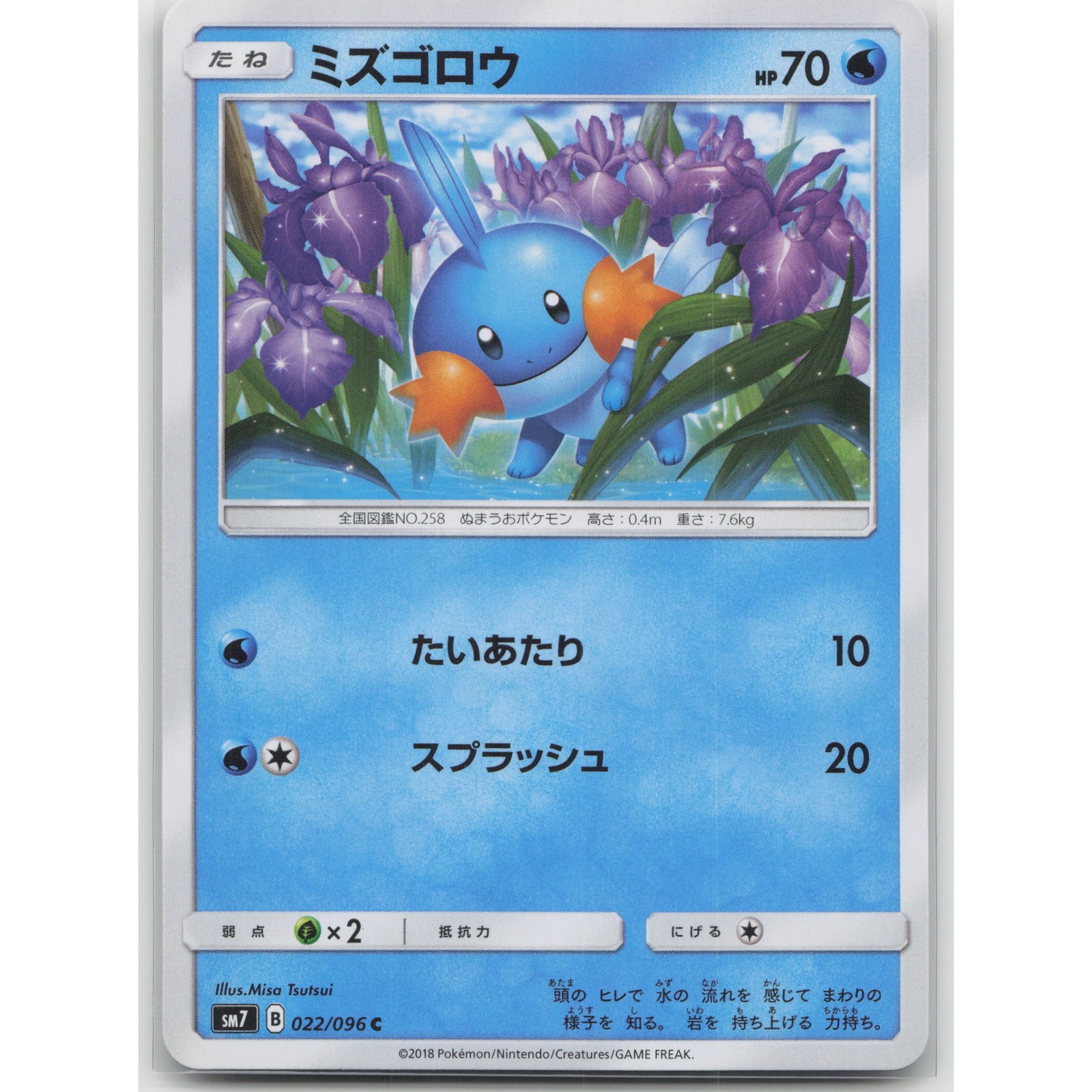 Mudkip Sky-Splitting Charisma 022/096 C NM Japanese Pokemon