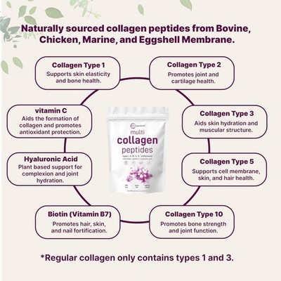 2Lb Multi Collagen Hydrolyzed Peptides Powder Type I,II,III,V,X MICRO INGREDIENT