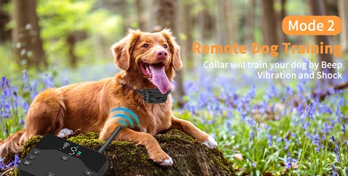 Electric Dog Fence System Wireless Hidden Pet Boundary Containment with 2 Collar - Picture 8 of 18