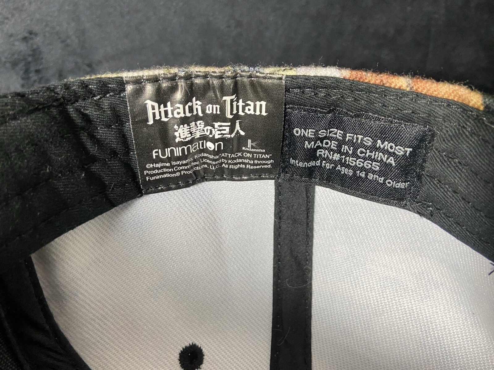 Attack On Titan Snap Back Hat - image 10