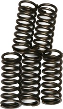 EBC CSK Clutch Spring Kit CSK66