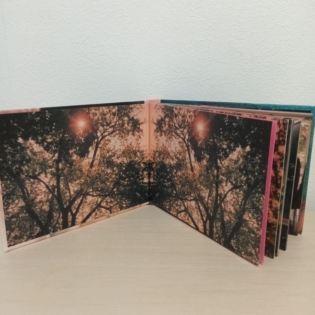 THE VIRGIN SUICIDES PHOTO BOOK By Sofia Coppola Japan Free