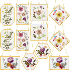 12 Pcs Brass Glass Frame for Pressed Flowers with Chain Clear Double Glass Float