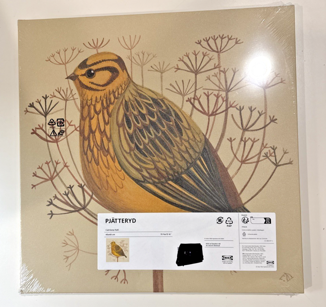 Ikea PJATTERYD Print Canvas Golden Bird 15 3/4
