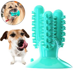 dog toothbrush chew toy