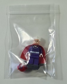 LEGO Marvel Super Heroes X-Men Magneto Minifigure from set 76022 Helmet Platform