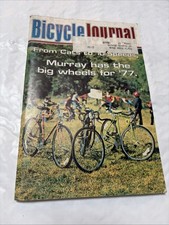 eBay Auction Picture