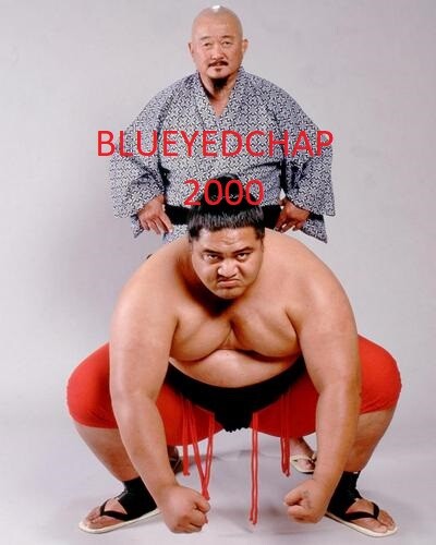 WWF WWE Big Rubber Guys　社 ウオーロード　新品未開封。 WWF WWE Big Rubber Guys 社 ウオーロード 新品未開封。 Big