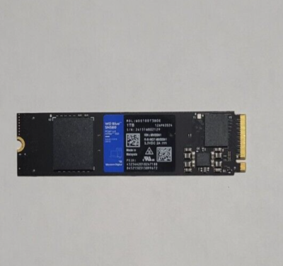 Western Digital WD Blue SN580 WDS100T3B0E 1TB Solid State Drive M