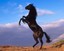 BlackMustang1