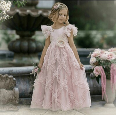 Dollcake Dress Size 3 Dreamy in Pink Flower Girl Wedding Special Occasion Pagean