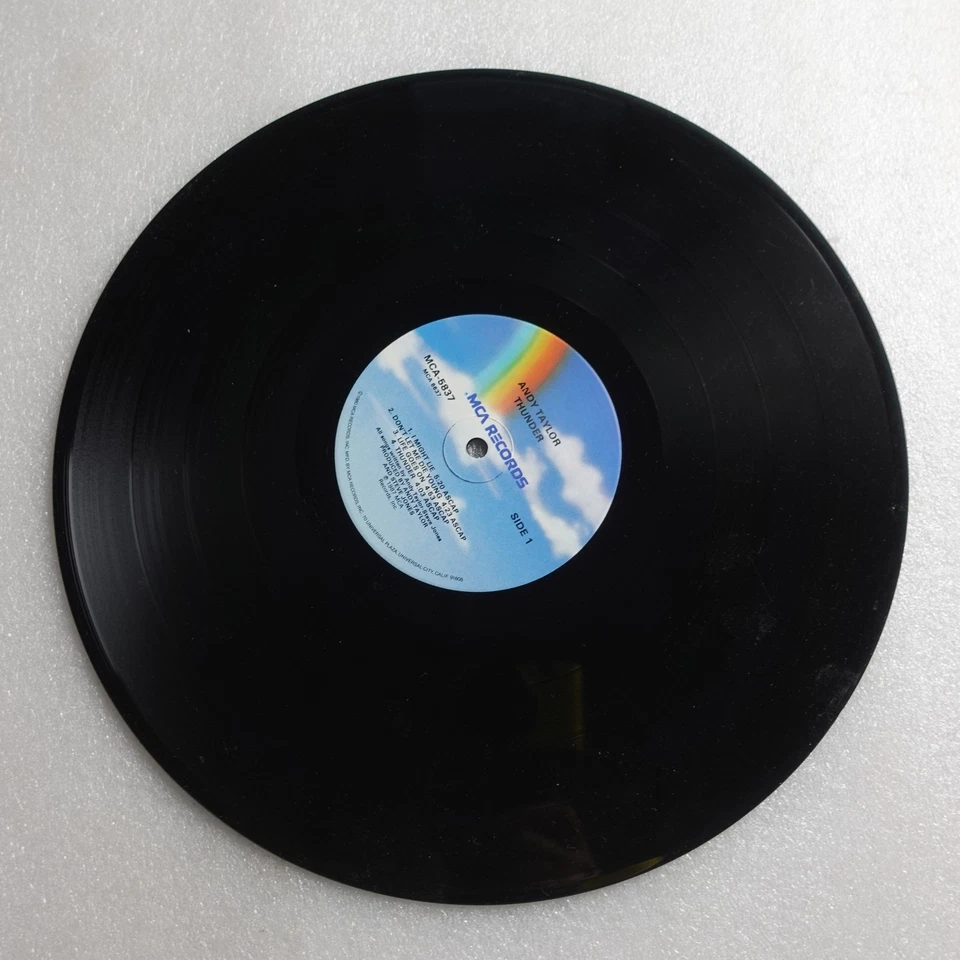 Andy Taylor Thunder LP Vinyl Album Record Rock Pop - Image 4 of 4