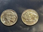 1/10 Oz. Silver Round .999 fine Silver Towne Brand Indian Head Proof "Beautiful"