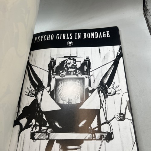 Psycho Girls in Bondage : Classic Fetish Art and Fiction by Stephen... - Picture 5 of 15