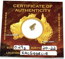 Goldwise Natural Aussie Gold Nugget 0.29g 20-22k purity Kalgoorlle Origin