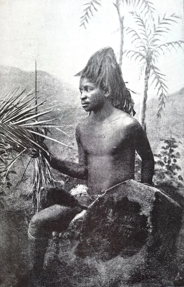 (1894) Afrika zwischen Sambesi und Limpopo ⚜ Rhodesien Simbabwe Mosambik SELTEN - Bild 1 von 4