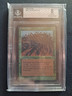 Wall of Wood Magic The Gathering MTG Alpha BGS Beckett graded 8 NM-MINT