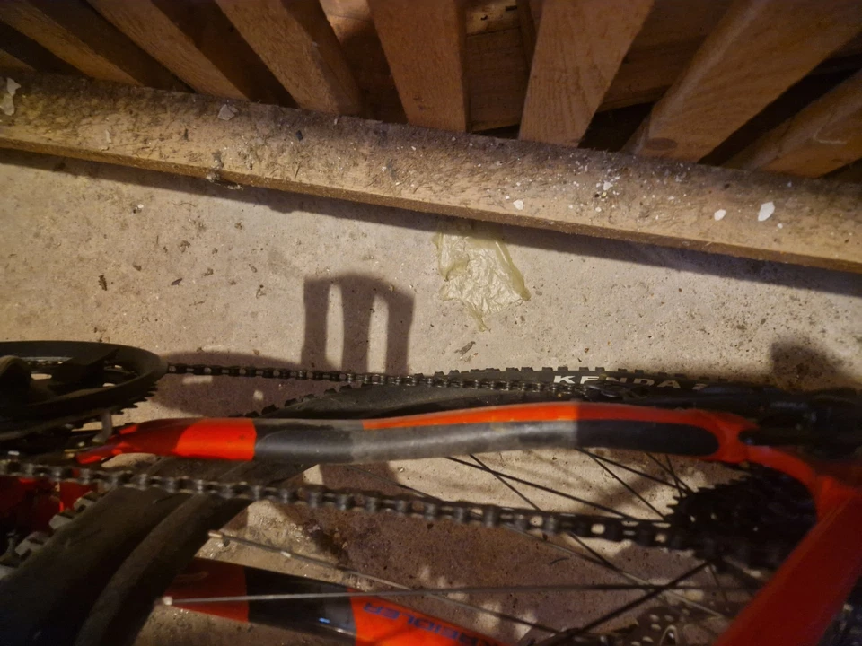 Mountainbike 29 Zoll Herren - Bild 3 von 4