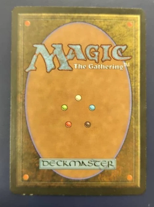 MTG Rainbow Vale Fallen Empires Signed - Image 2 of 2