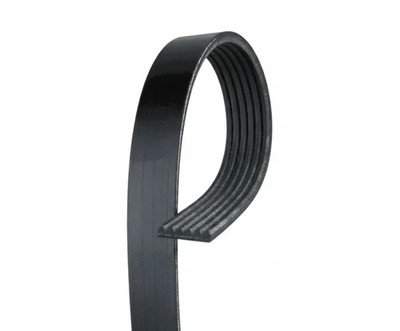 Keilrippenriemen 6PK1703HD GATES für KAMAZ 43118 43255 43261 5460 53215 53229