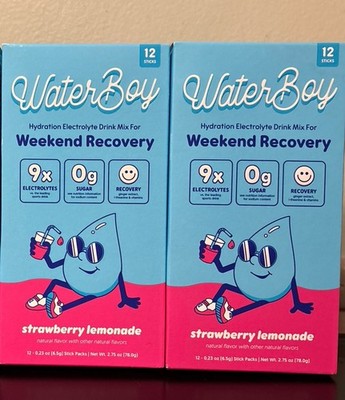 2x Waterboy Hydration Weekend Recovery Dietary Supplement Strawberry Lemon 12pk