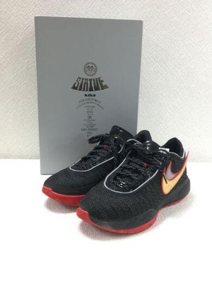 Nike Lebron 20 Ep 20 Ep 27.5Cm Blk US9.5 EOP25 | eBay 