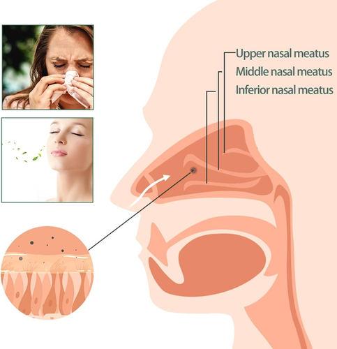 Lung Enhancement and Care Inhaler,Lung Mucus Cleansing Inhaler,Lung Inhaler, - Picture 4 of 9