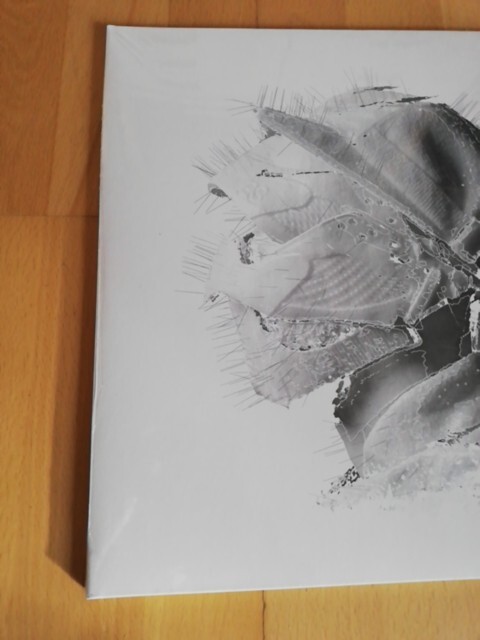 Bild 2 von 6