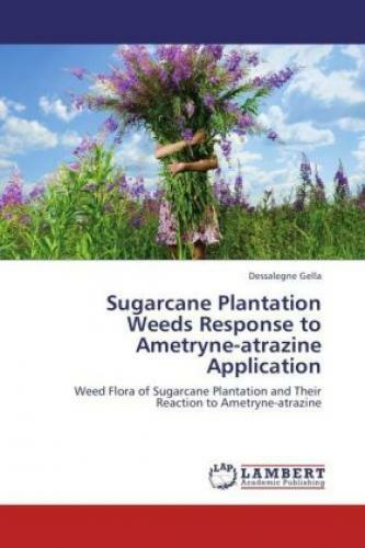 Sugarcane Plantation Weeds Response To Ametryne-atrazine Application