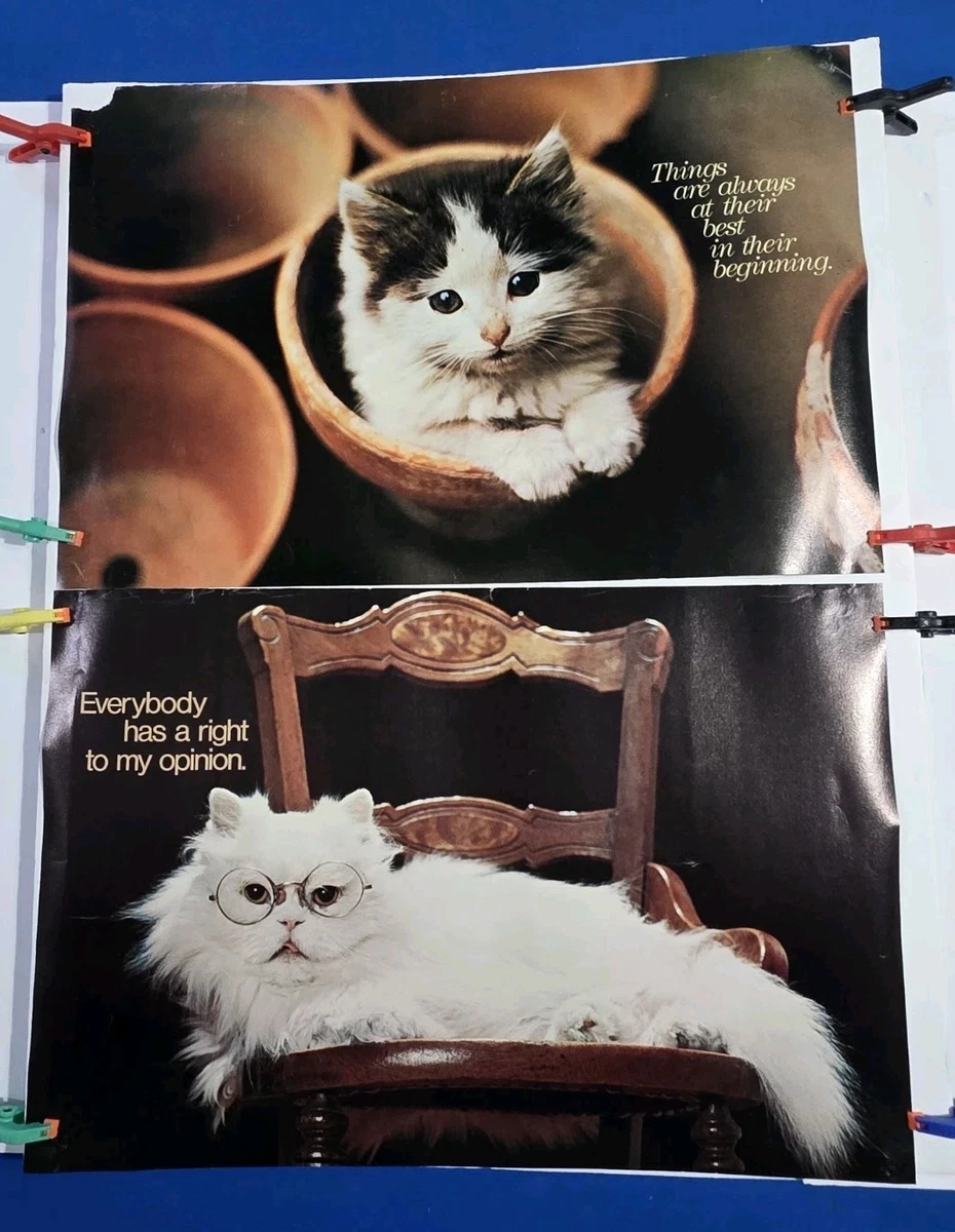 vintage cat poster products for sale | eBay