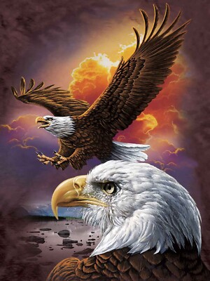 EAGLE PAIR - 3D PICTURE PRINT 300mm x 400mm