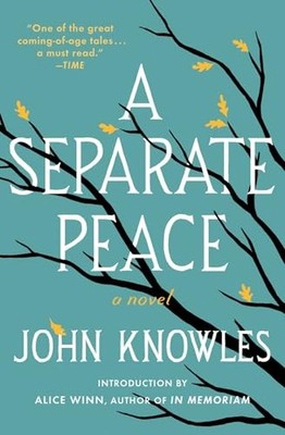 Separate Peace, A by Knowles, John 0743253973 FREE Shipping