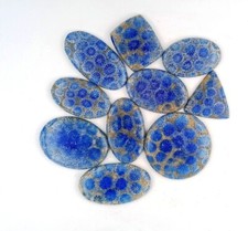 Blue Fossil Coral Stone Lot, Blue Fossil Coral. Handmade Natural Fossil 71762