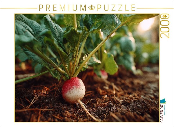Calvendo Puzzle Radishes Fresh In The Garden Bed | 2000 Pieces, Finished Size 35-image