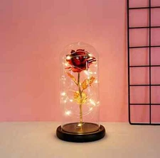 Christmas Rose Gift for Women Mom Girlfriend Wife Valentines Birthday Presents