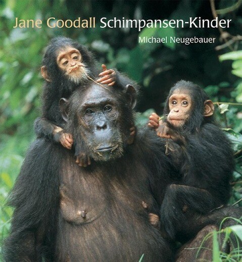 Thumbnail - Schimpansen-kinder | Buch | 9783865662002
