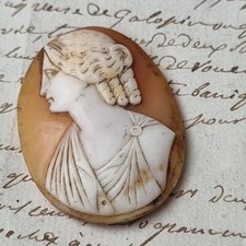 CAMEE Coquillage Ancien Portrait XIXè Napoléon III Victorian Shell Cameo 19thC