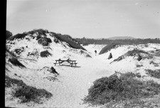 Négatif photo ancien 1959 Californie table picnic dunes de sable