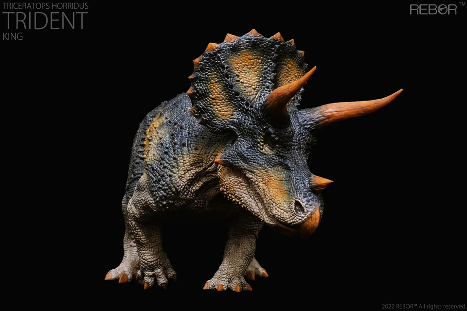 REBOR 1:35 Triceratops horridus "Tridente" Rey Foto 3 de 4