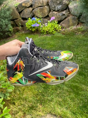 lebron 11 everglades