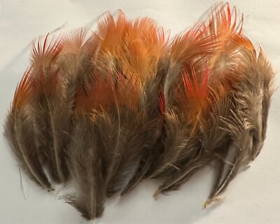 Feuerspitze Federn x 20 rot orange wunderschön Hutherstellung Fliegenbinden Medium