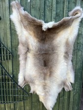 Reindeer Hide Rug ~120cm Natural Fur Pelt Scandinavian Style Rustic Décor