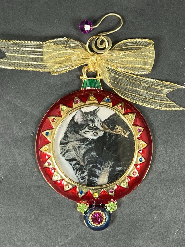 Christopher Radko Jeweled Christmas Frame Ornament Hanging VG