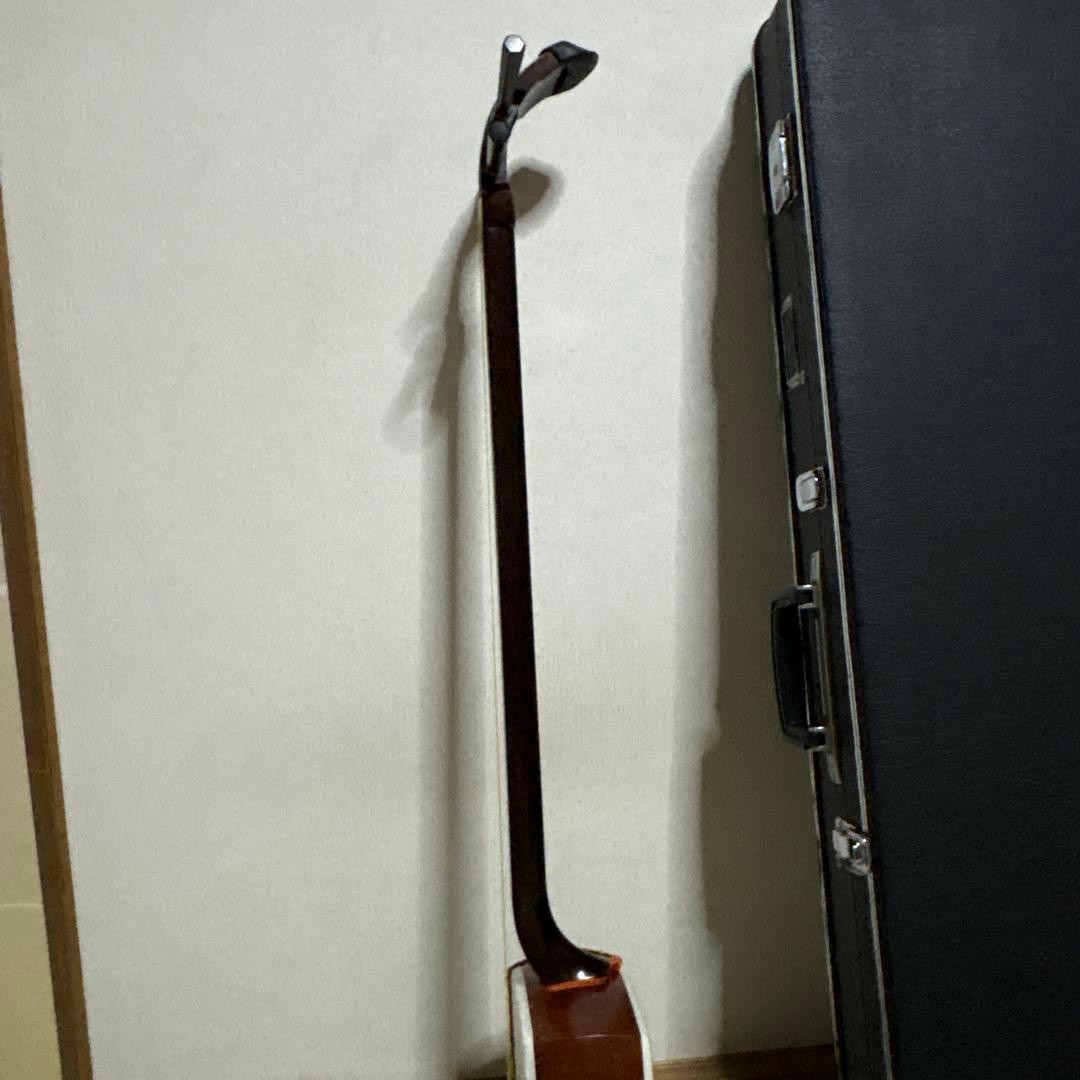 Hosozao Shamisen Japanese Traditional Musical Instrument with Case Bachi Set