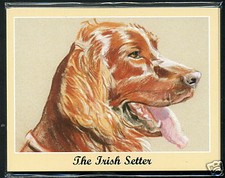 THE IRISH SETTER - Man's Best Friend Dog Breed Perikim Collectors Card Set - Red