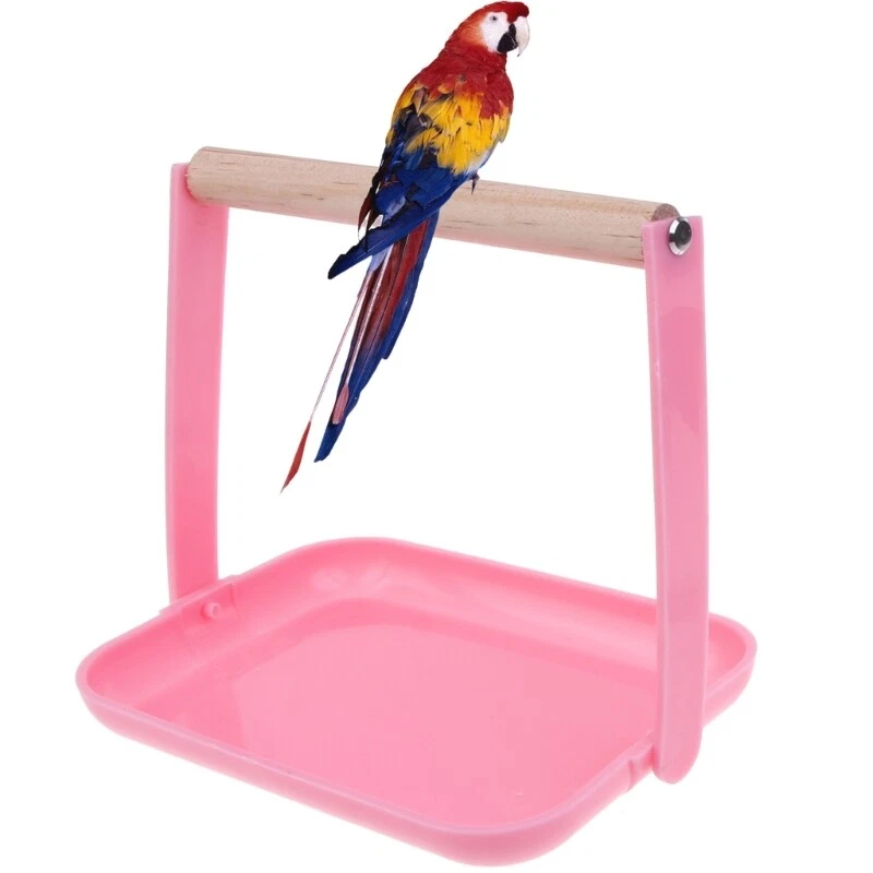 Bird gym diy top