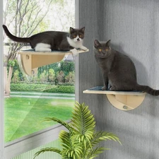 Cat Window Perch Cat Hammock Indoor Cat Hammock with Suction Cups  for Small Cat
