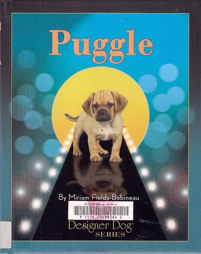 Designer dogs sale kennel club